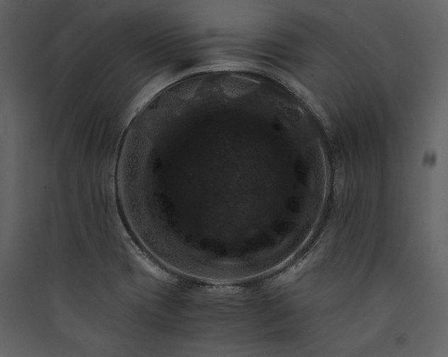X0000089921417200707131401
