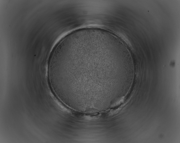 X0000089921420200707131401