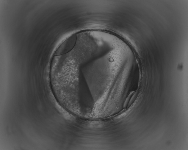 X0000089921421200707131401