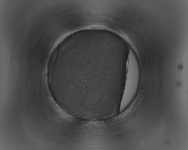 X0000089921422200707131401