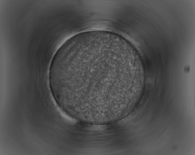 X0000089921423200707131401