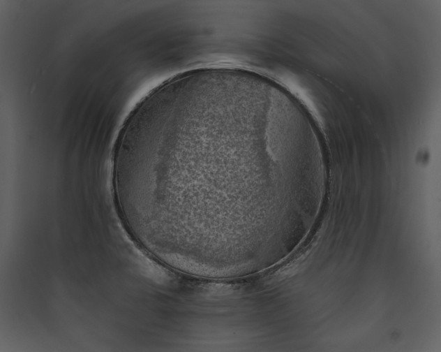 X0000089921424200707131401