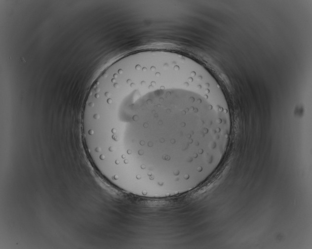 X0000089921425200707131401