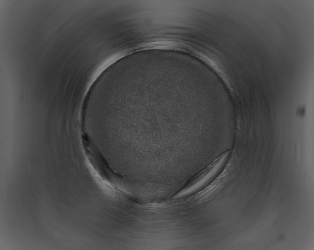 X0000089921426200707131401