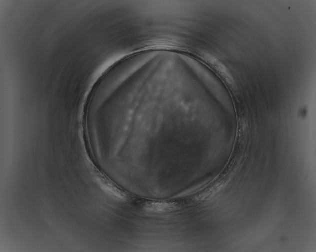 X0000089921427200707131401