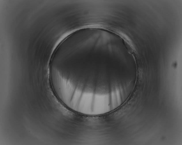 X0000089921428200707131401