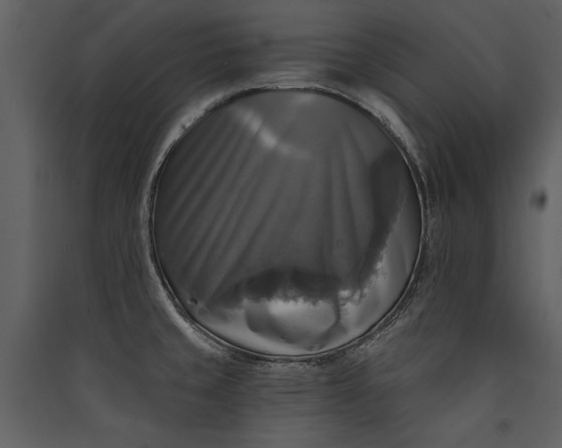 X0000089921429200707131401