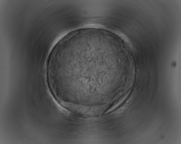 X0000089921430200707131401