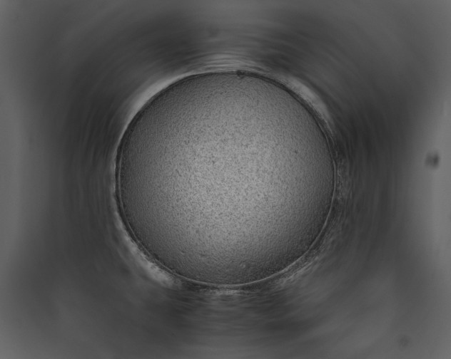 X0000089921431200707131401
