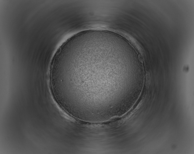 X0000089921432200707131401