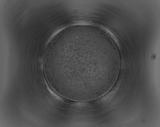 X0000089921433200707131401