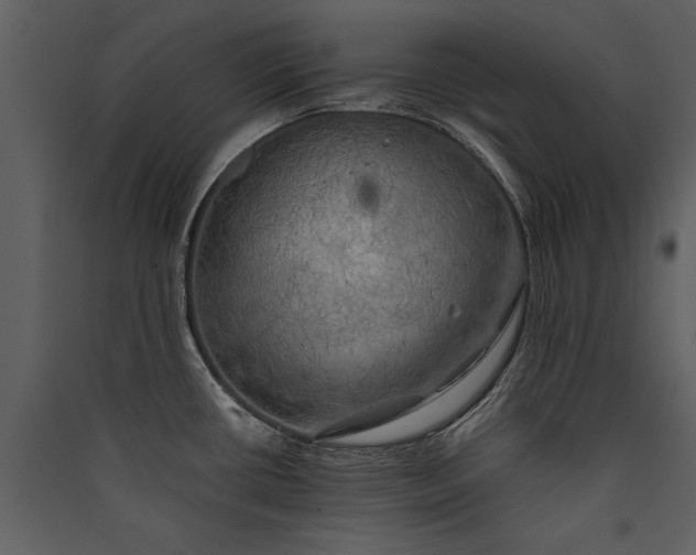X0000089921434200707131401