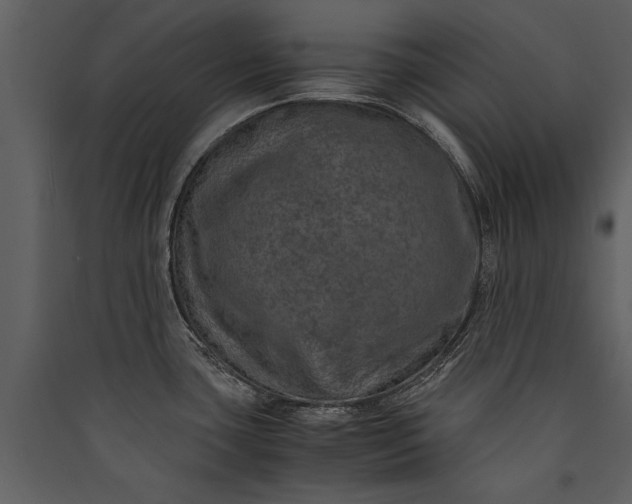 X0000089921435200707131401