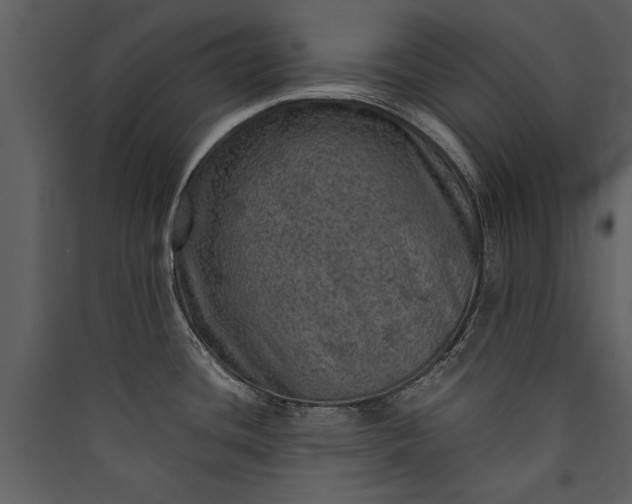 X0000089921436200707131401