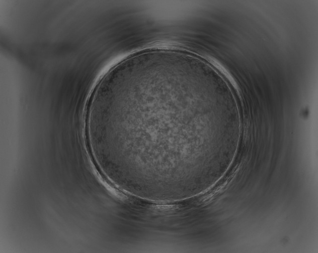 X0000089921437200707131401