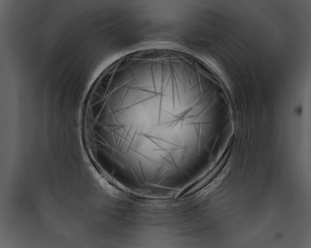 X0000089921438200707131401