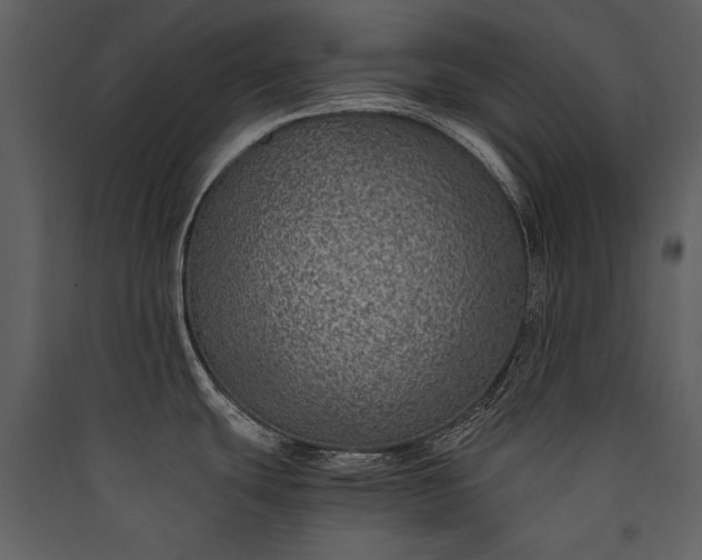 X0000089921439200707131401