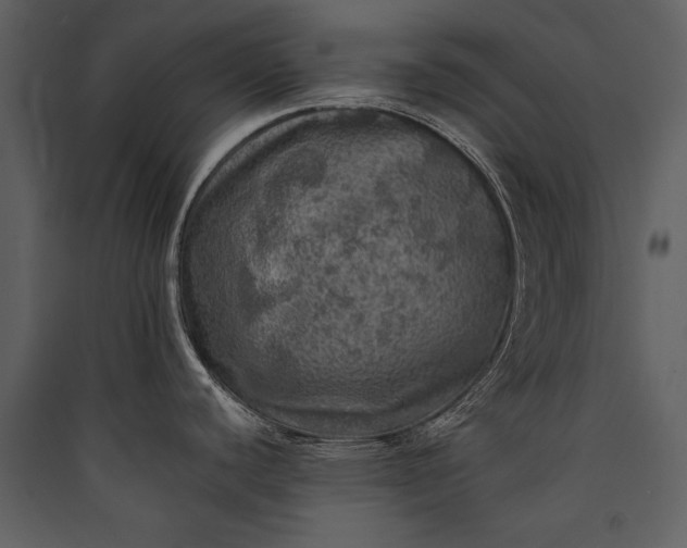 X0000089921440200707131401