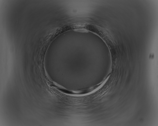 X0000089921441200707131400