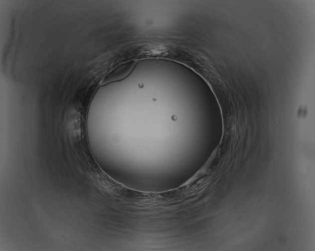 X0000089921442200707131400