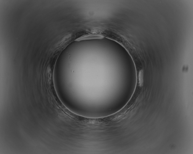 X0000089921443200707131400