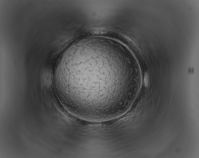 X0000089921444200707131400