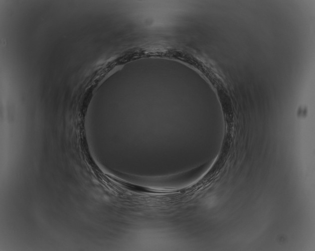 X0000089921445200707131400