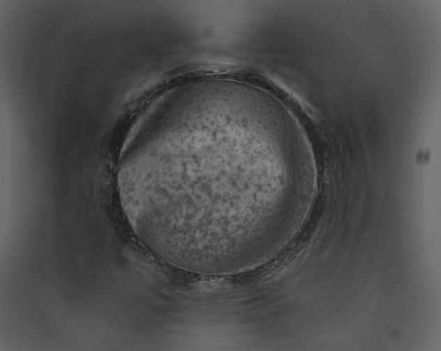 X0000089921447200707131400