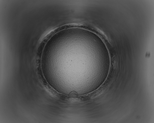 X0000089921448200707131400
