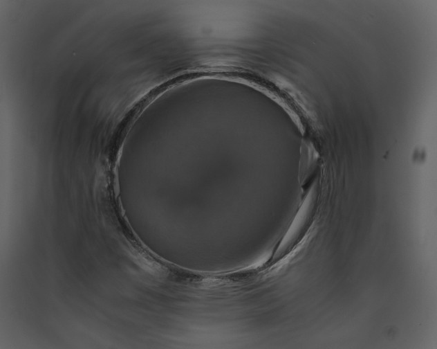 X0000089921449200707131400