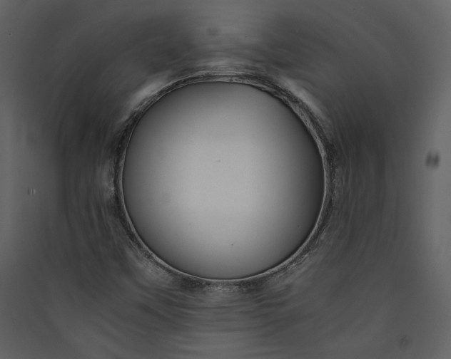 X0000089921451200707131400