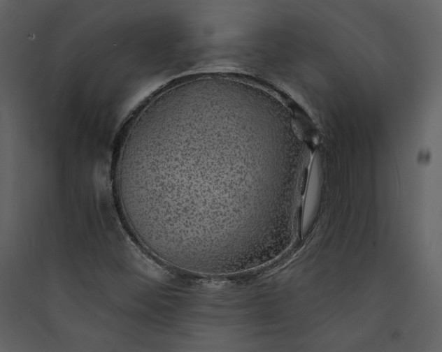 X0000089921452200707131400