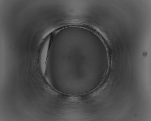 X0000089921453200707131400