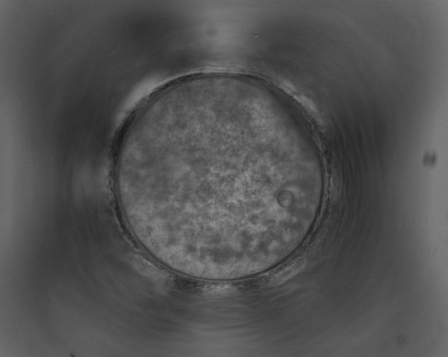 X0000089921454200707131400