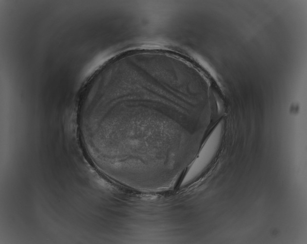 X0000089921456200707131400
