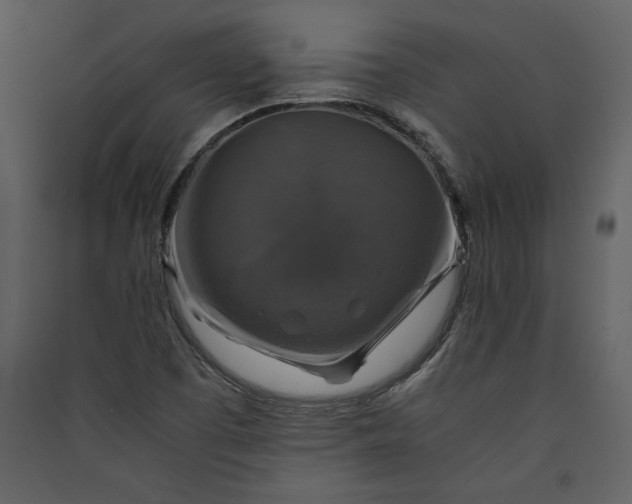 X0000089921457200707131400
