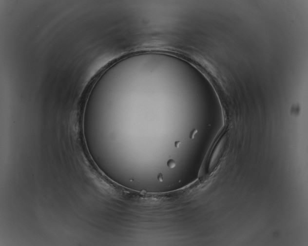 X0000089921458200707131400