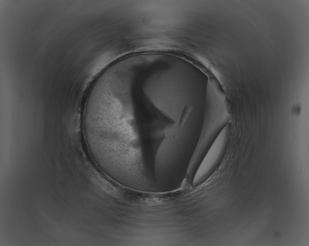 X0000089921459200707131400