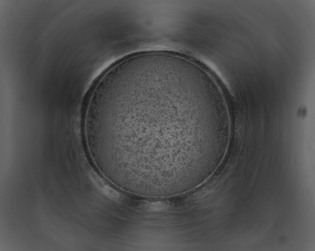 X0000089921460200707131400