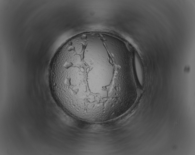 X0000089921463200707131400