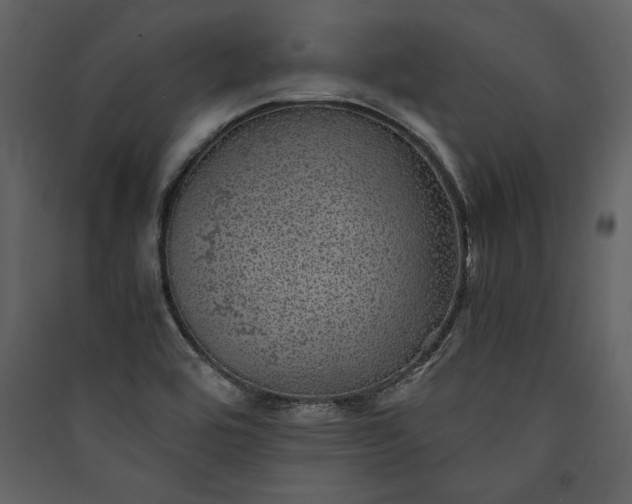 X0000089921464200707131400