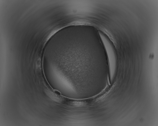 X0000089921465200707131400
