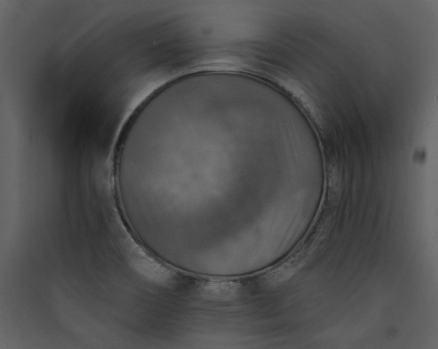 X0000089921466200707131400