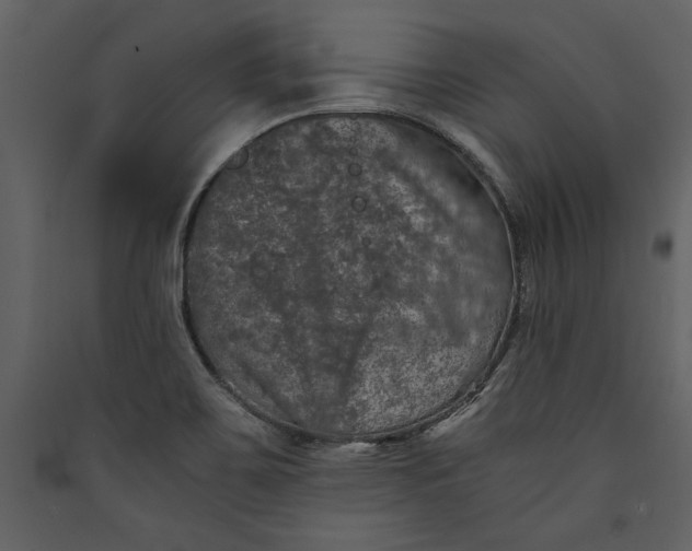 X0000089921467200707131400
