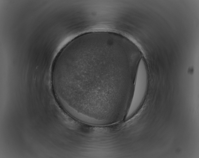 X0000089921469200707131400