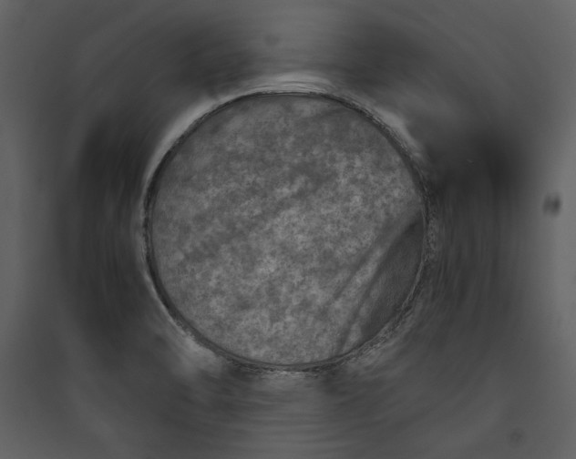 X0000089921470200707131400