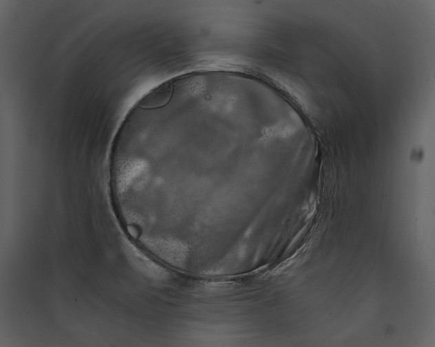 X0000089921471200707131400