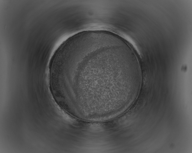 X0000089921472200707131400