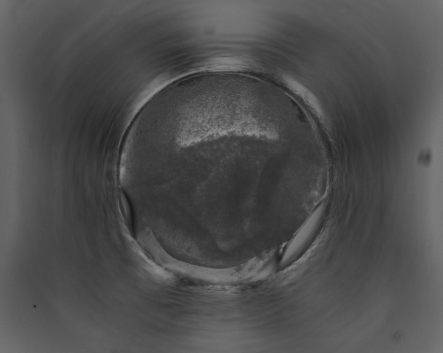 X0000089921473200707131400