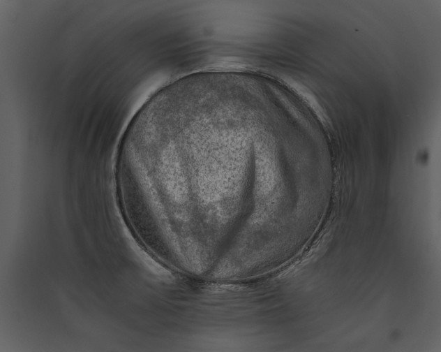 X0000089921475200707131400